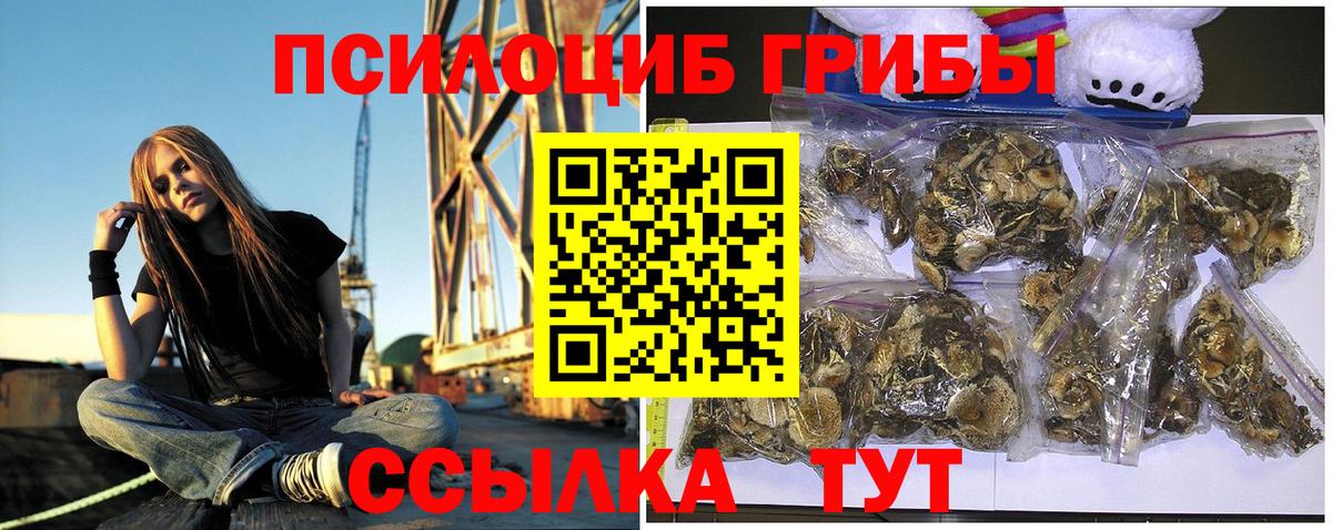 Псилоцибиновые грибы MAGIC MUSHROOMS Кемерово
