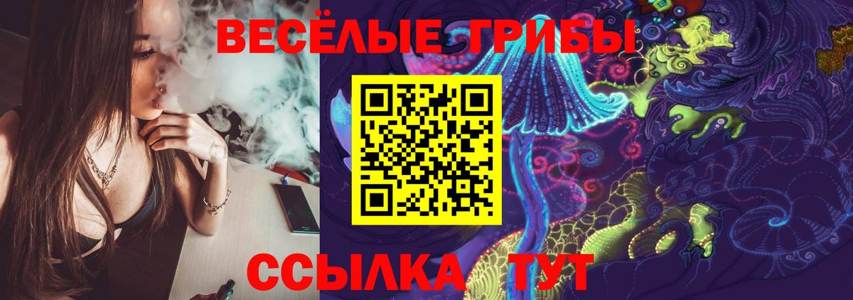Кемерово  Галлюциногенные грибы Cubensis  Вход с VPN 